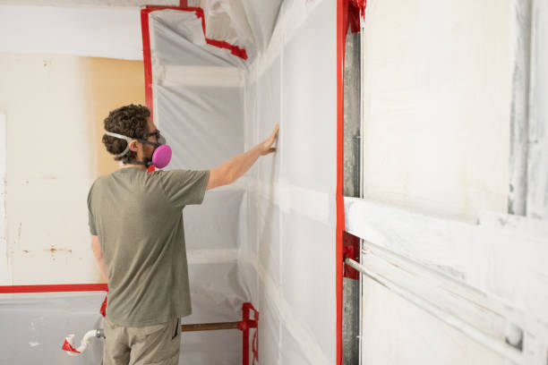 Best Mold Removal for HVAC Installations  in Edison, GA