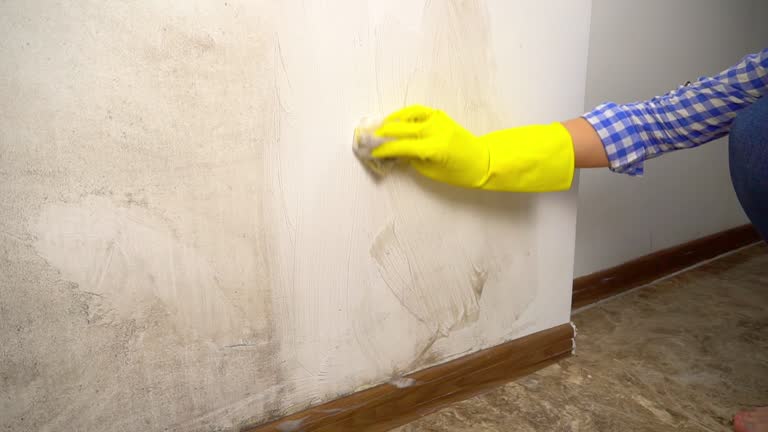 Best Biohazard Mold Removal  in Edison, GA