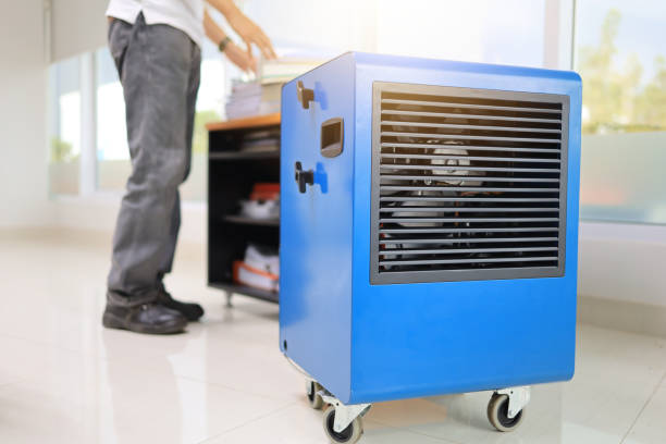 Best Mold-Related Health Consultation  in Edison, GA